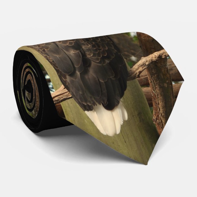 Bald Eagle (National Bird) Tie (Rolled)