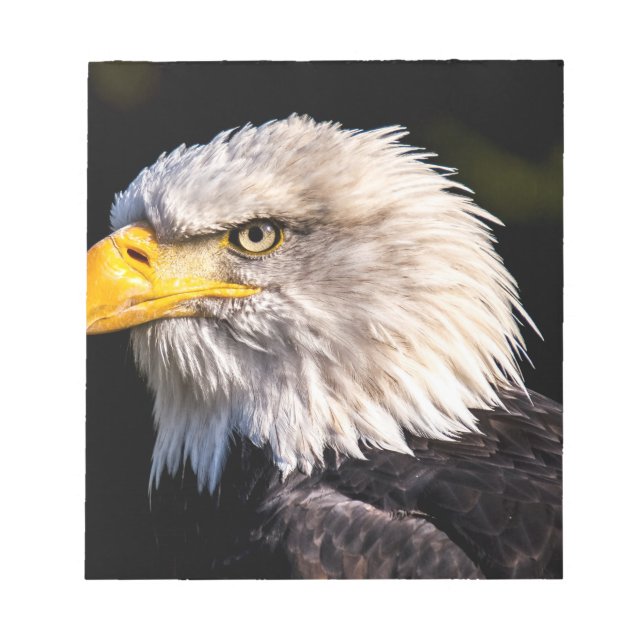 Bald Eagle Notepad (Front)