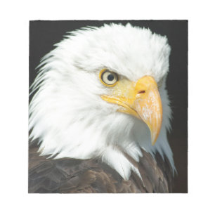 Bald Eagle Notepad