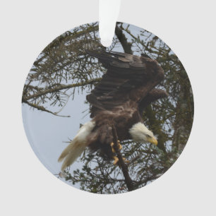 Bald Eagle of Alaska U.S.A. Ornament