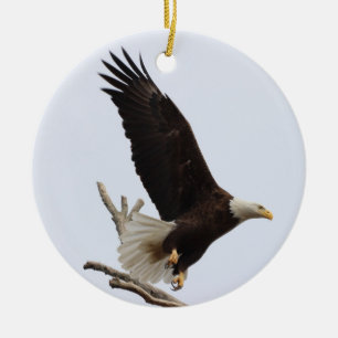 Bald Eagle of Columbiana Ohio Ornament