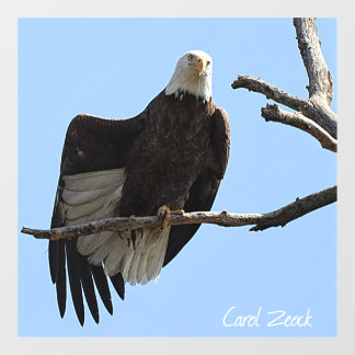Bald Eagle Of Columbiana Ohio Window Cling