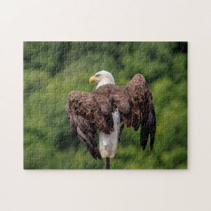 Bald Eagle on a branch Jigsaw Puzzle