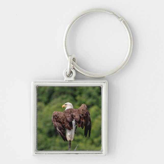 Bald Eagle on a branch Key Ring (Front)