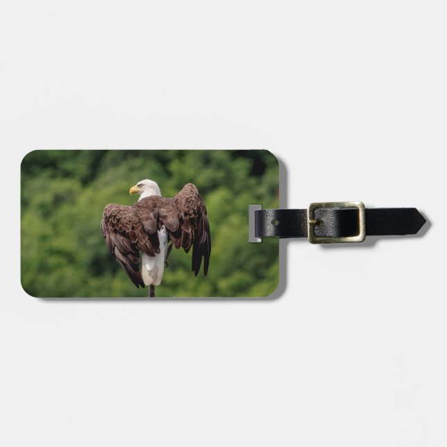 Bald Eagle on a branch Luggage Tag (Front Horizontal)