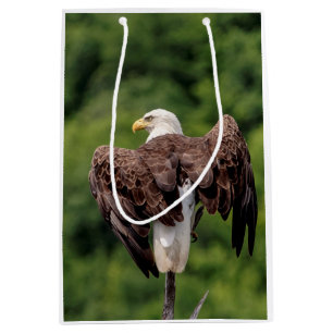 Bald Eagle on a branch Medium Gift Bag