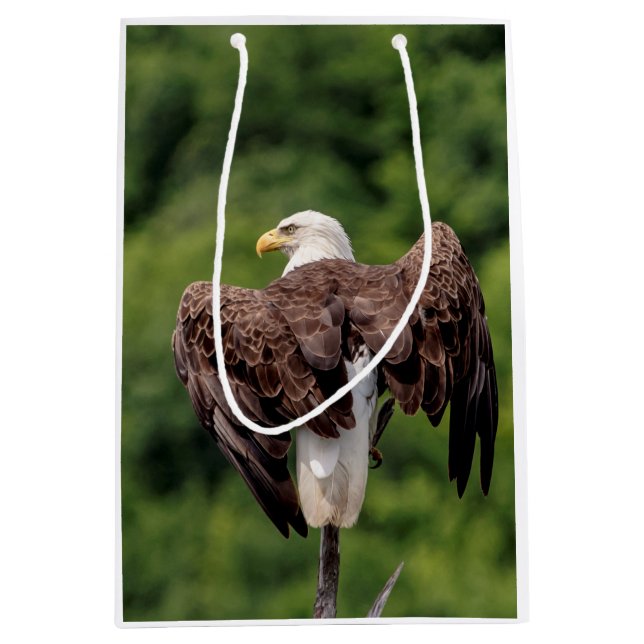 Bald Eagle on a branch Medium Gift Bag (Front)