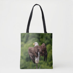 Bald Eagle on a branch Tote Bag