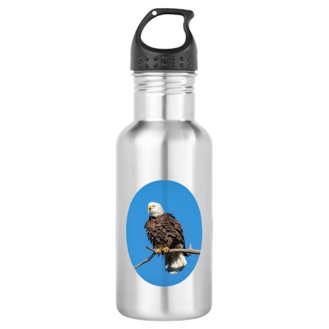 Bald Eagle on a tree branch 532 Ml Water Bottle (Front)