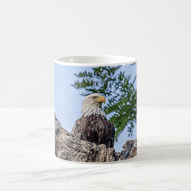 Bald Eagle on a tree branch Coffee Mug (Center)