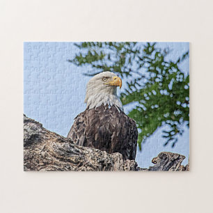 Bald Eagle on a tree branch Jigsaw Puzzle