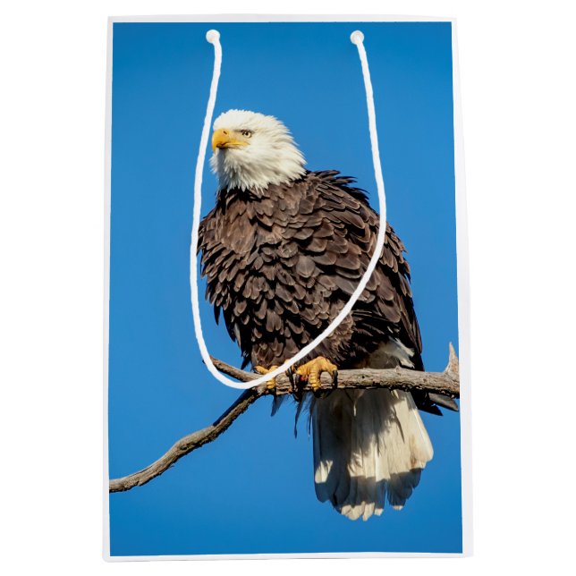 Bald Eagle on a tree branch Medium Gift Bag (Front)