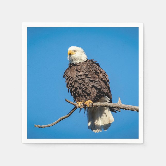 Bald Eagle on a tree branch Napkin (Front)