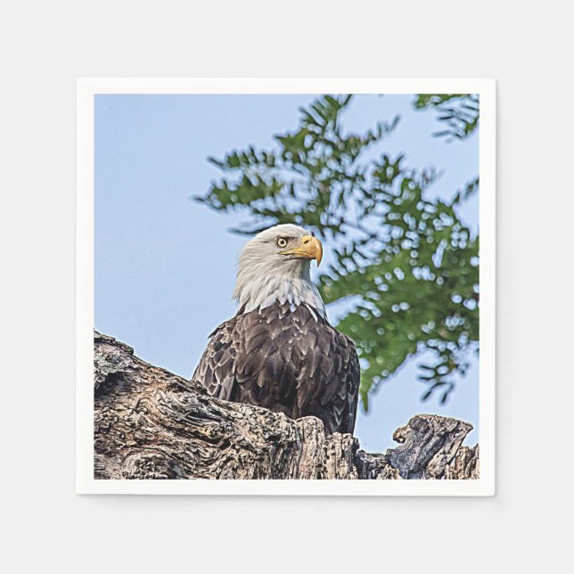 Bald Eagle on a tree branch Napkin (Front)