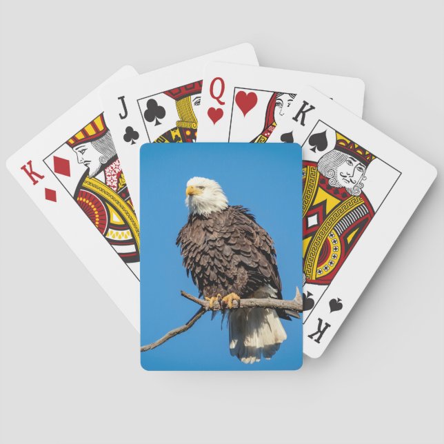 Bald Eagle on a tree branch Playing Cards (Back)