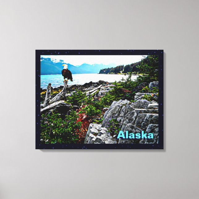Bald Eagle On Alaska Coast Canvas Print (Front)