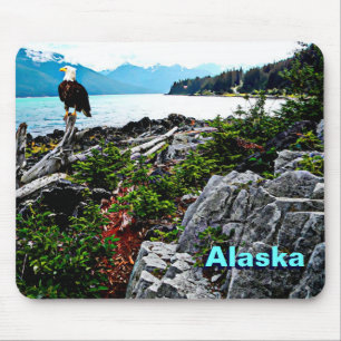 Bald Eagle On Alaska Coast Mouse Mat