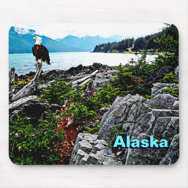 Bald Eagle On Alaska Coast Mouse Mat (Front)