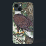 Bald Eagle on Branch iPhone 13 Case<br><div class="desc">Bald Eage on Branch  Artist: Tim OToole</div>