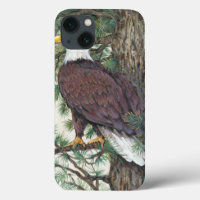 Bald Eagle on Branch