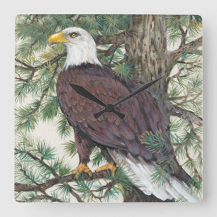 Bald Eagle on Branch Square Wall Clock