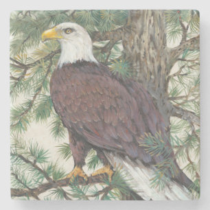 Bald Eagle on Branch Stone Coaster