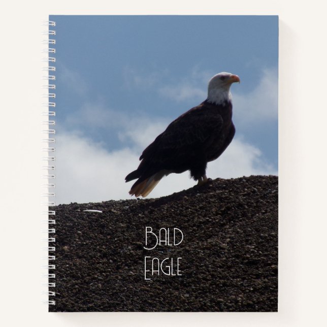 Bald Eagle on High Ground Spiral Notebook (Front)