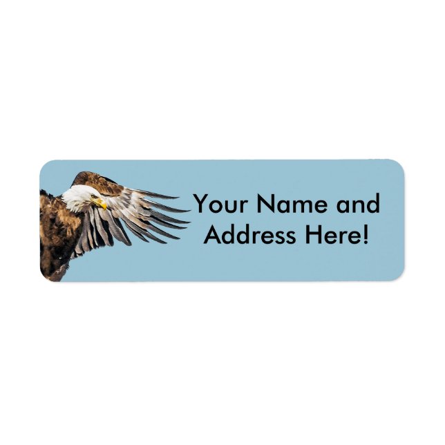 Bald Eagle on the Wing (Front)