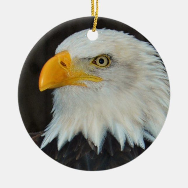 Bald Eagle Ornament (Front)