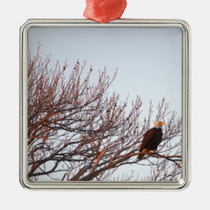Bald Eagle Ornament
