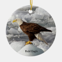 Bald Eagle ornament