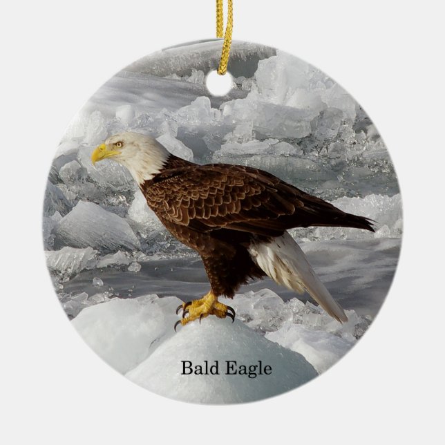 Bald Eagle ornament (Front)