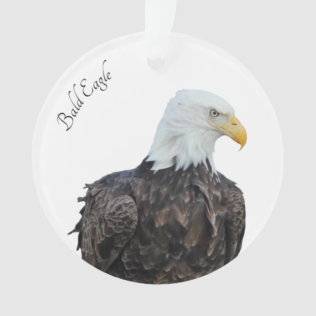 Bald Eagle Ornament (Front)
