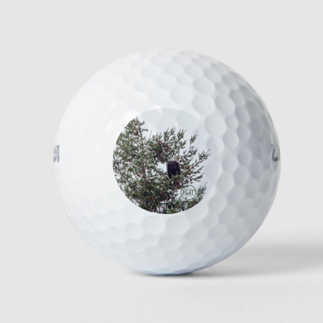 Bald Eagle P2825 Golf Balls (Front)