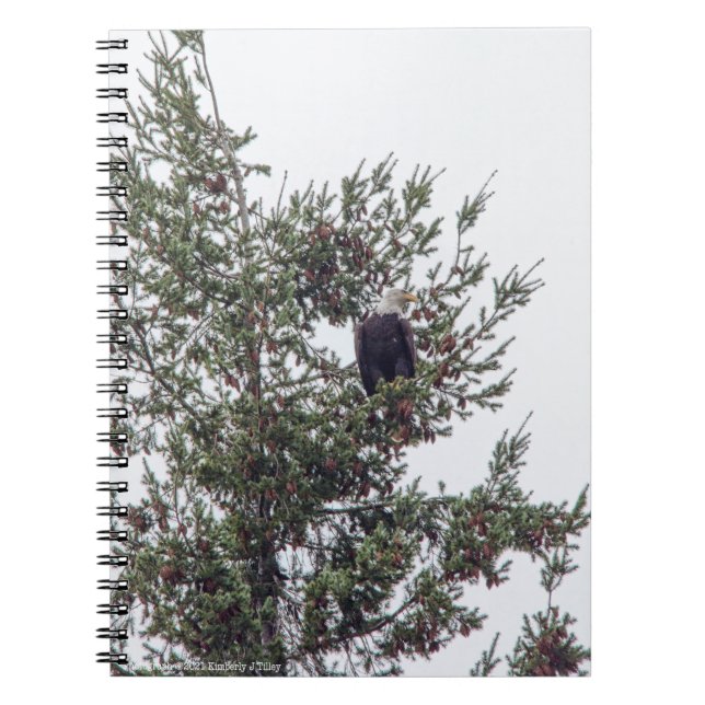 Bald Eagle P2825 Notebook (Front)