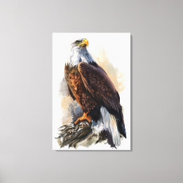 Bald Eagle Painting Canvas Print