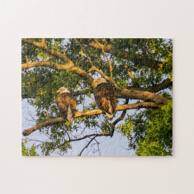 Bald Eagle Pair  Jigsaw Puzzle (Horizontal)
