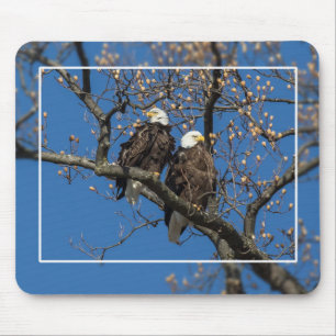 Bald Eagle Pair Mouse Mat