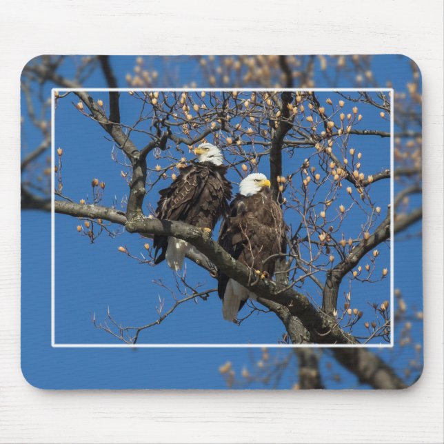 Bald Eagle Pair Mouse Mat (Front)