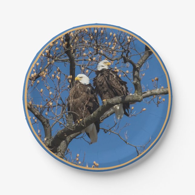 Bald Eagle Pair Paper Plate (Front)