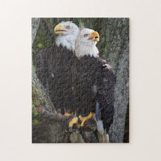 Bald Eagle Pair Puzzle