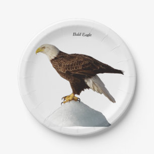 Bald Eagle paper plate