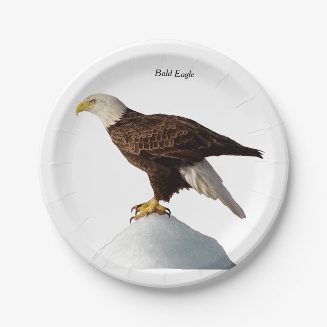 Bald Eagle paper plate (Front)
