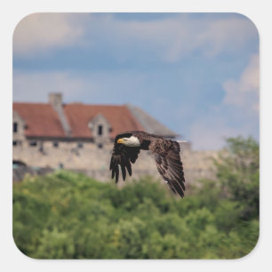 Bald Eagle passing Fort Ticonderoga Square Sticker
