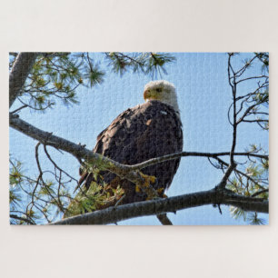 Bald Eagle Perch - 20x30 - 1014 pcs. Jigsaw Puzzle