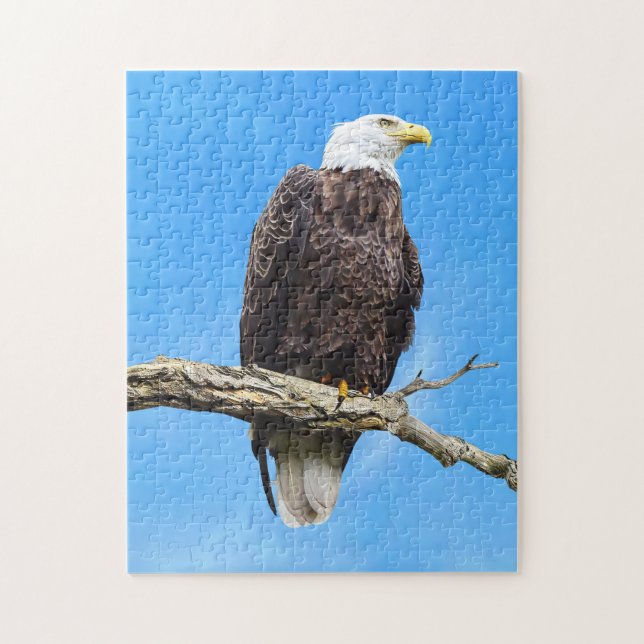 Bald Eagle Perched on a Branch Jigsaw Puzzle (Vertical)