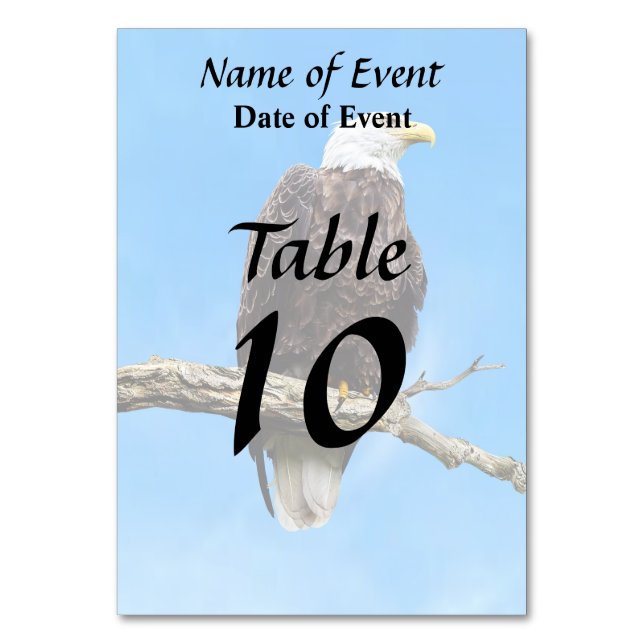 Bald Eagle Perched on a Branch Table Number (Front)