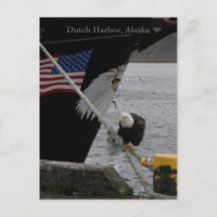 Bald Eagle Perched on a Mooring Line, Dutch Harbou