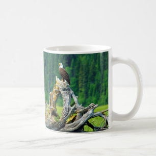 Bald Eagle Perched On Branch Coffee Mug