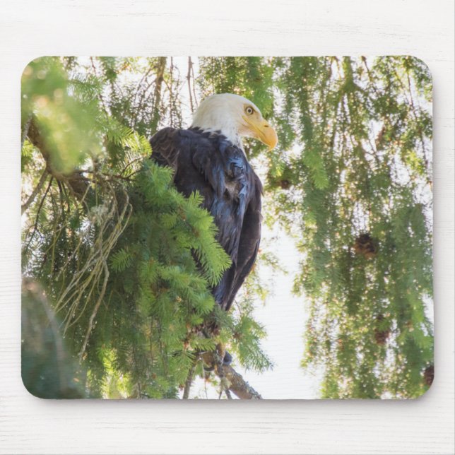 Bald Eagle perches in Douglas Fir Mouse Mat (Front)